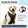 Arnés sin tirones para perro, reflejante y con asa