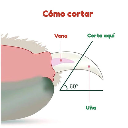 Cortaúñas para perro y gato con luz LED