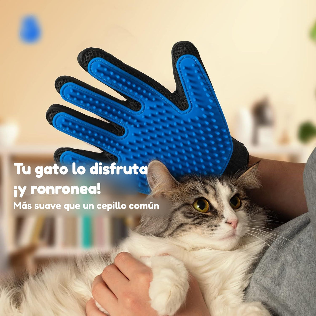 Gato disfrutando del guante quitapelo