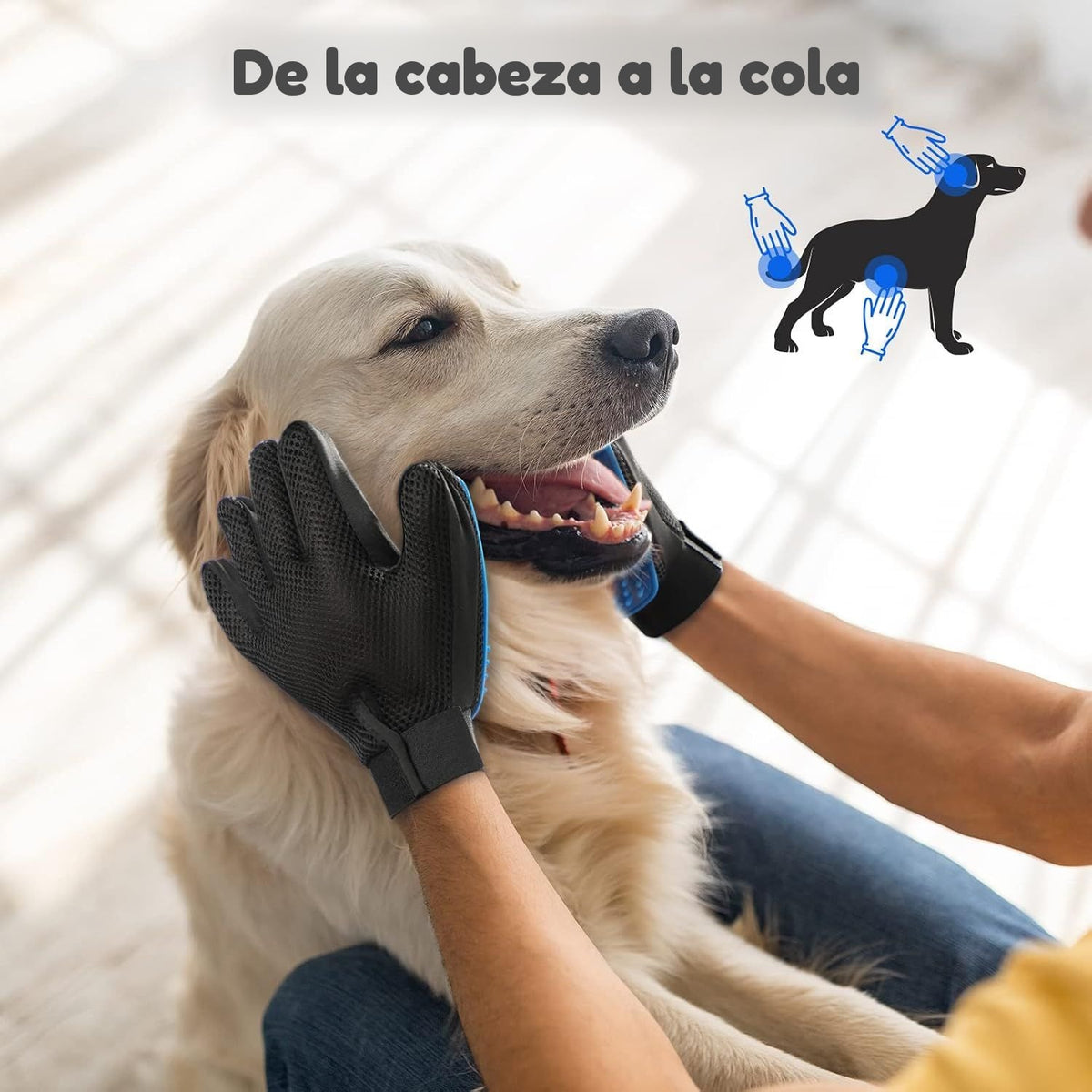 Cepillando a un golden retriever con los guantes quitapelo