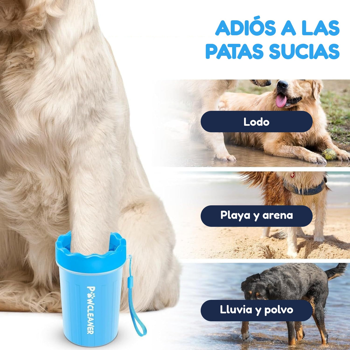 Adiós a las patas sucias: lodo, playa y lluvia