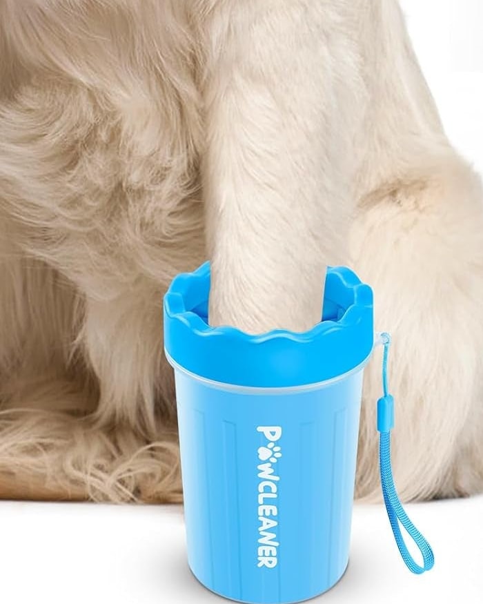 Golden retriever con la pata dentro del limpiador de patas