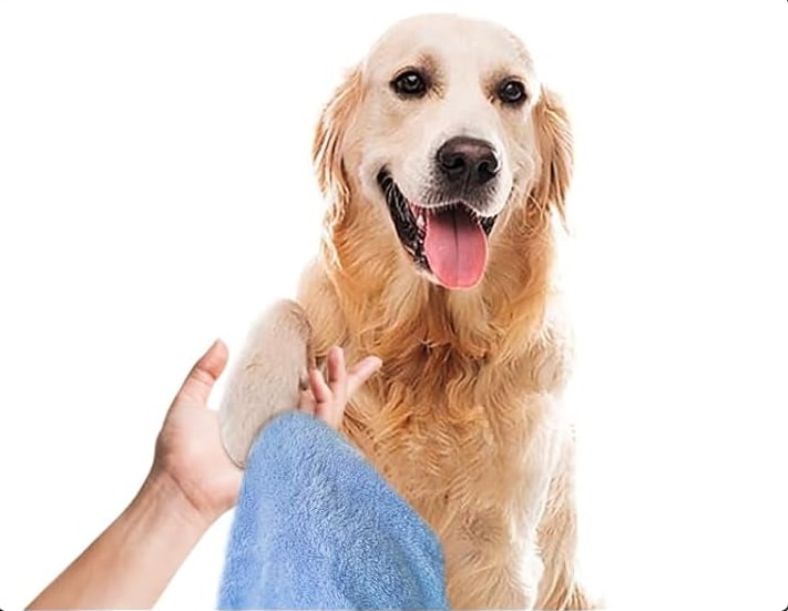 Golden retriever feliz mientras le secan la pata con la toalla