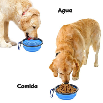 Plato plegable de silicón para el paseo