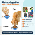 Plato plegable: Agua y comida donde sea