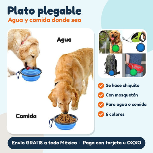 Plato plegable: Agua y comida donde sea
