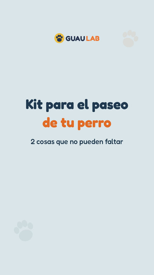 Kit Paseo Limpio: botella y limpiador de patas