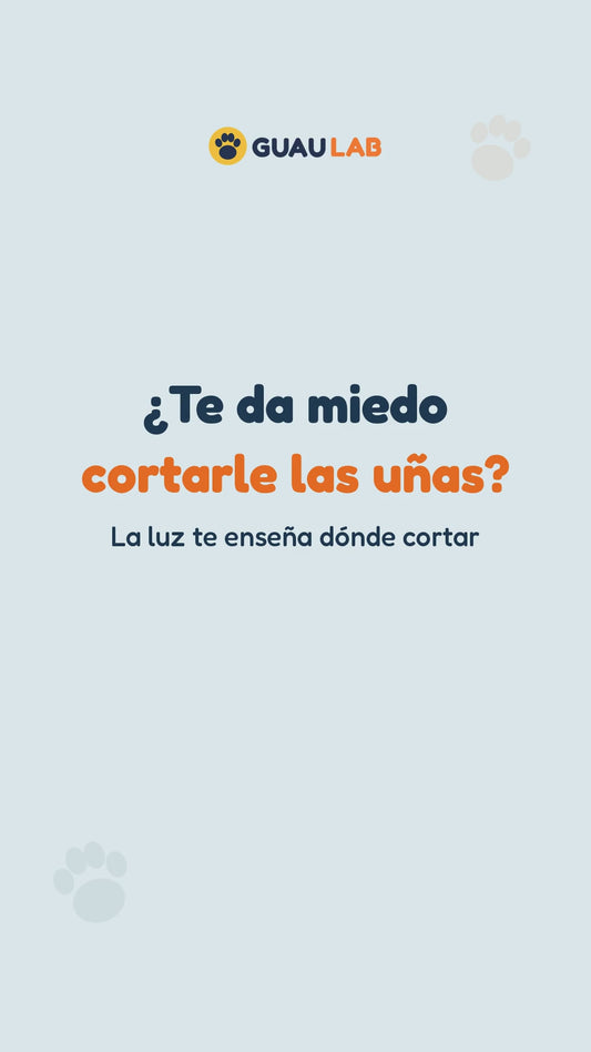 Cortaúñas con luz LED para perro en uso
